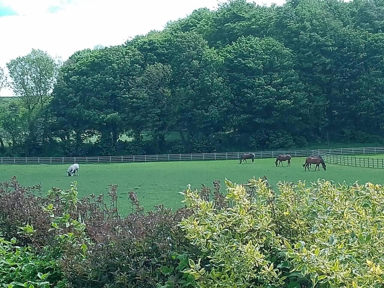 Holiday home Unique Countryside Close To Sunderland